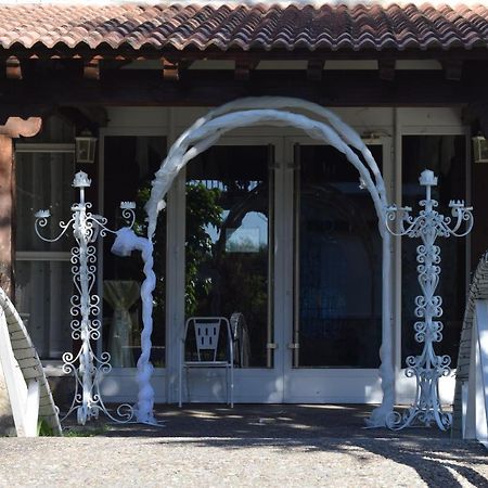 Las Casitas Del Jardin Tudela de Duero Extérieur photo